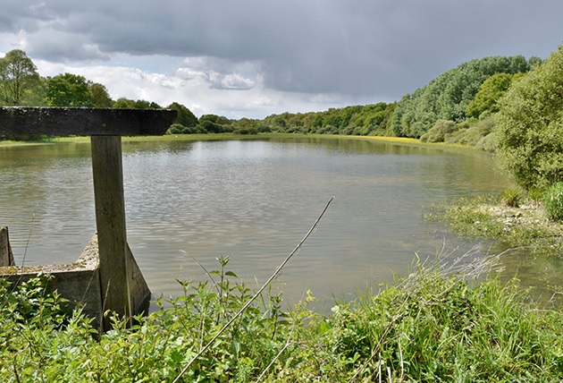 Etang du Louroux